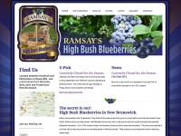 Ramsay’s High Bush Blueberries