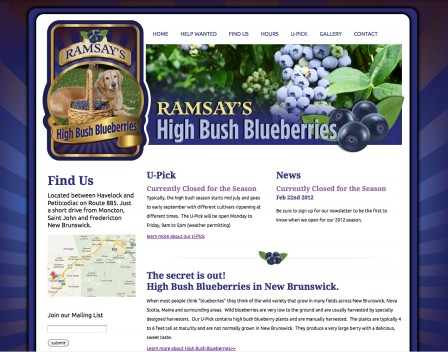 Ramsay’s High Bush Blueberries