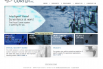 Visual Cortek