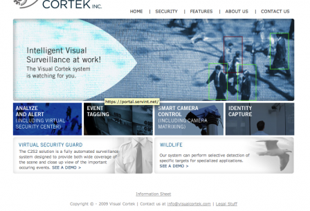{Visual Cortek}